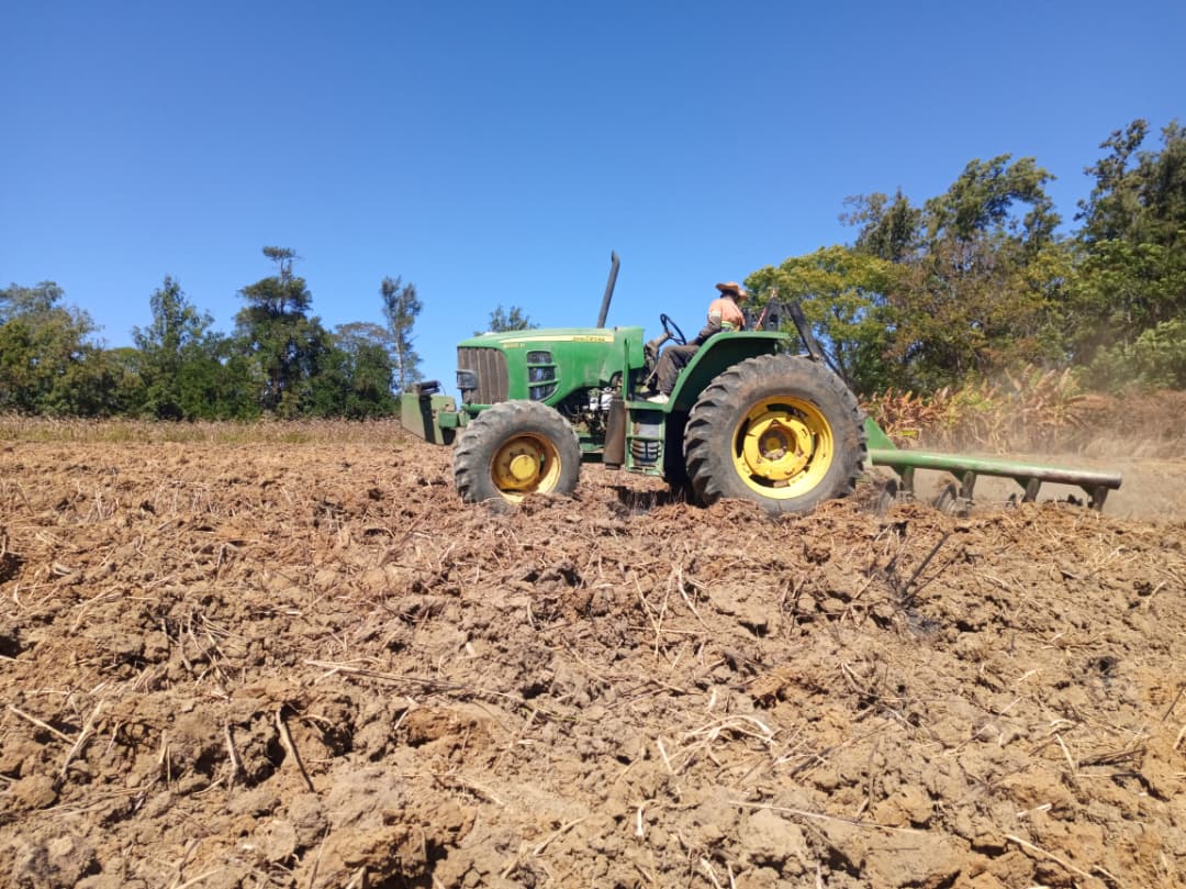 Activité agricole 2 — UKARIMU International