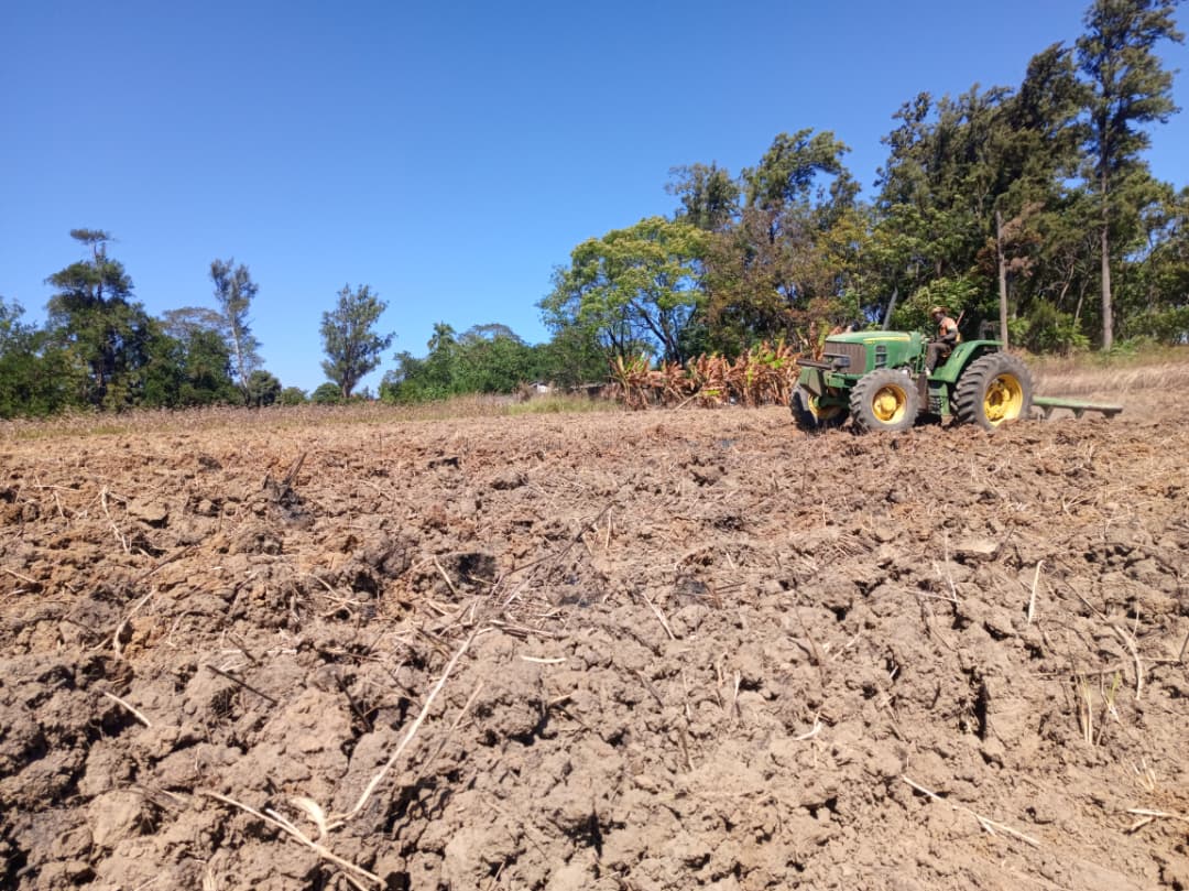Activité agricole 1 — UKARIMU International
